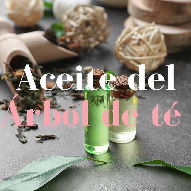 Aceite del Árbol de Té