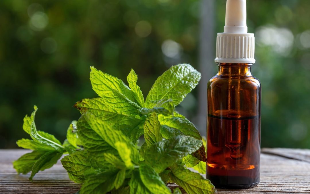 Aceite del Árbol de Té