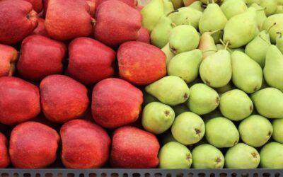 Cómo Elegir las Mejores Manzanas y Peras: Guía de Compra de Frutas de Pepita